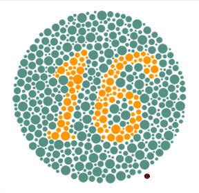 Adult test plate — Answer: 16
