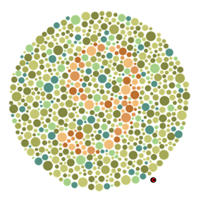 Adult test plate — Answer: 9