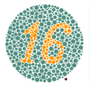Adult test plate — Answer: 16