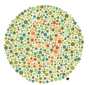 Adult test plate — colorblind view